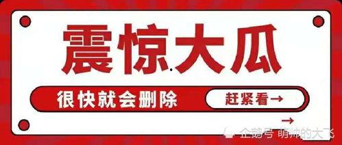 吃瓜八卦娱乐圈公众号