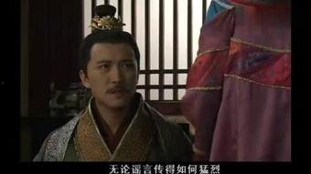 在线免费观看忠贞,揭秘忠诚与背叛的生死较量
