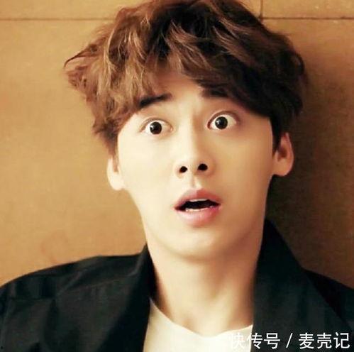 低文化明星,揭秘娱乐圈中的另类风采
