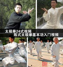 陈氏太极拳24式视频,经典套路精粹解析