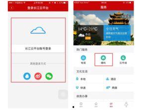 爆料文字视频,爆料视频背后的惊人真相