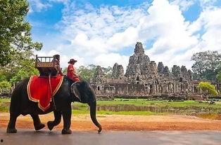 柬埔寨猎物免费观看